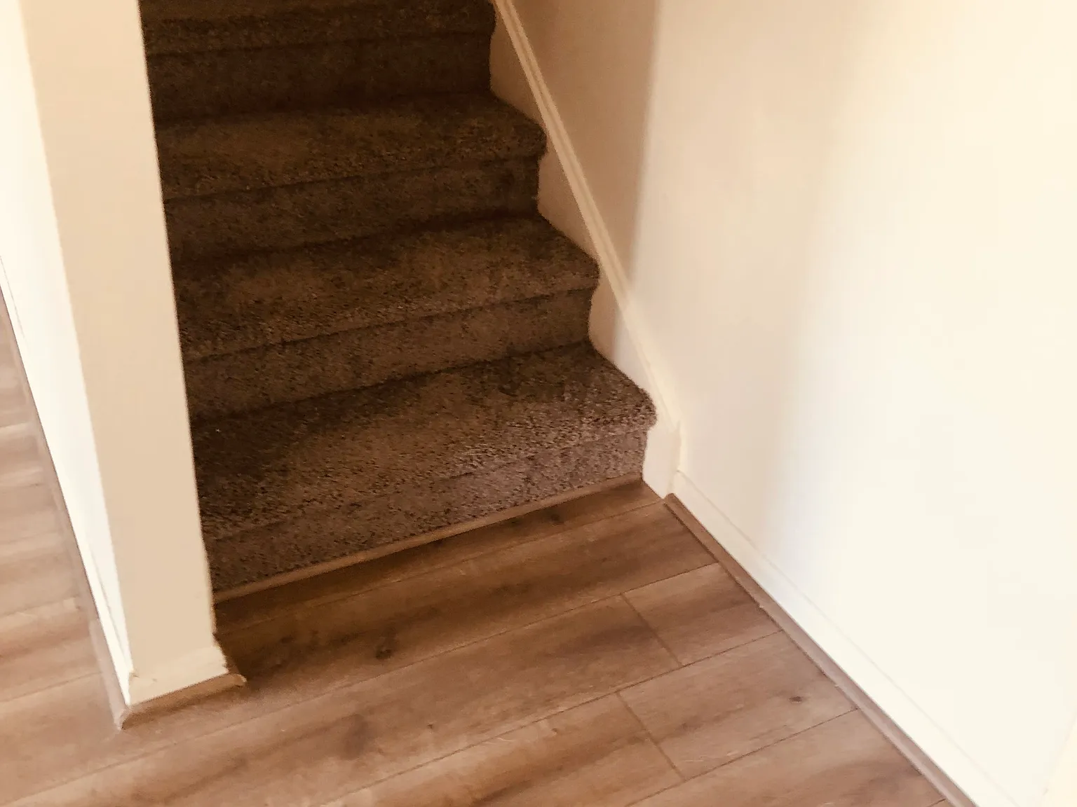 5 bed, 2955 sqft, $3,000 — Photo 4