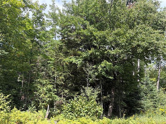 3rd image of On Schwilk Road