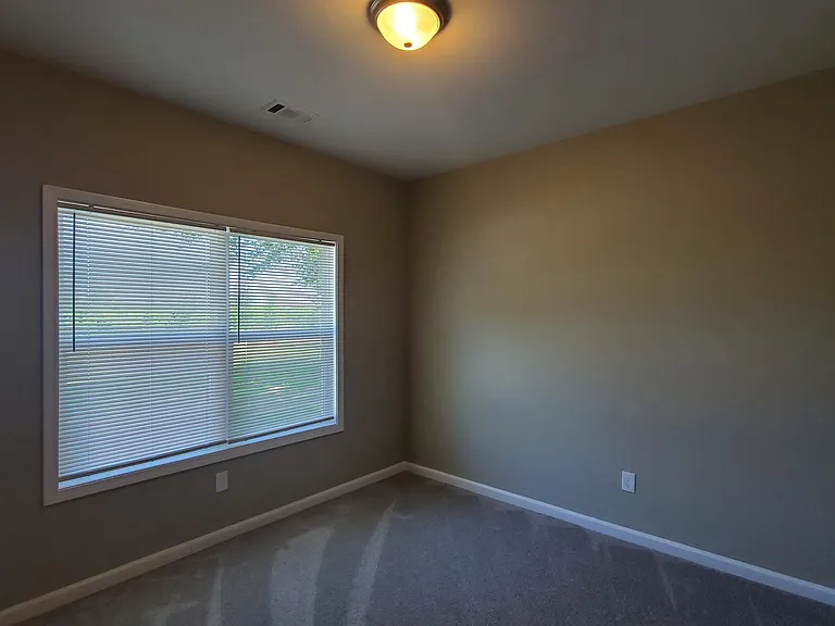 5099 Mars Hill Rd — Photo 28