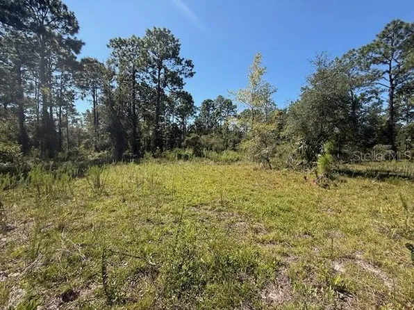 SE 114th Pl Lot 11, Dunnellon, FL 34431