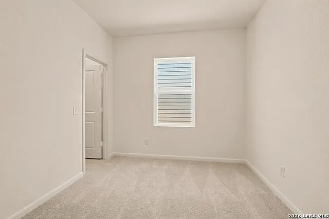 1117 King Eider — Photo 18