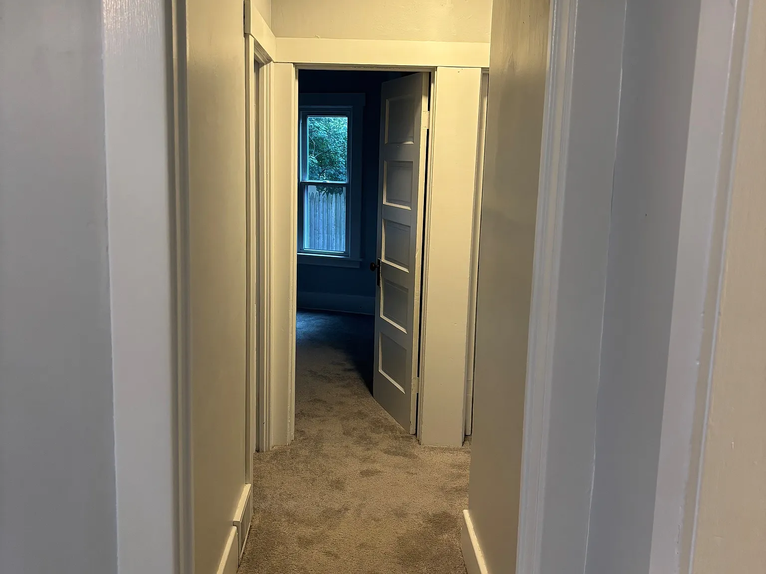 2 bed, 972 sqft, $1,625 — Photo 4