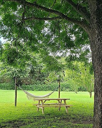 4th image of 803 Avenue A