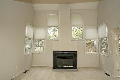 Vaulted Living Room