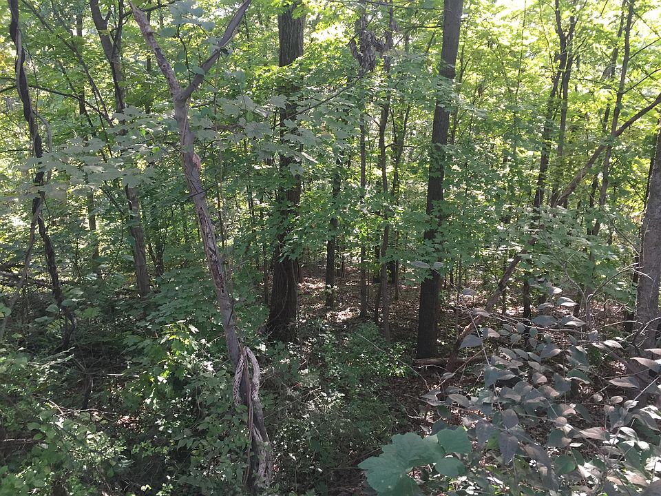 1st image of 0 Woodlawn Dr