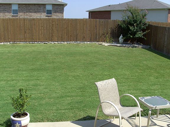 Beautiful Back Yard