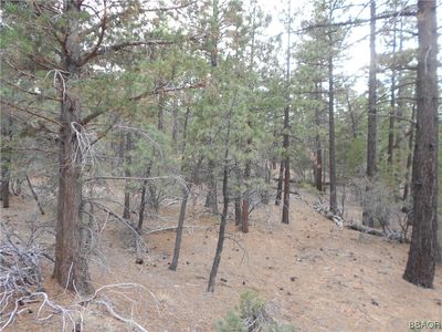 0 Venus Rd, Lucerne Valley, CA, 92356