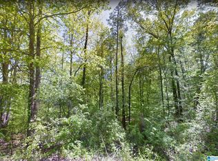 0 Springhill Rd #0, Fayette, AL 35555