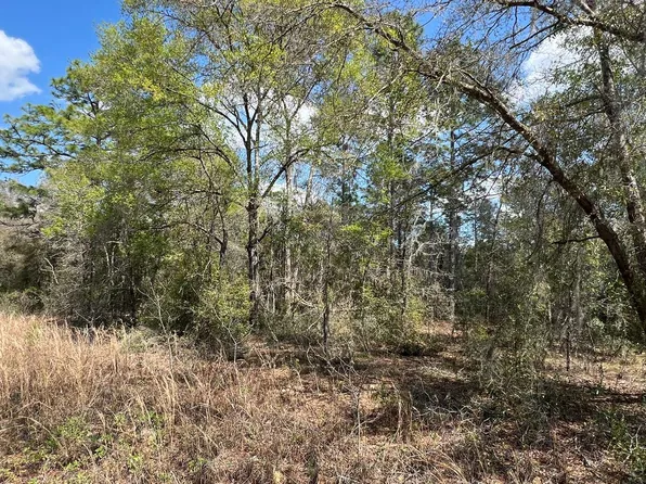 0 NE 154th Ave, Williston, FL 32696