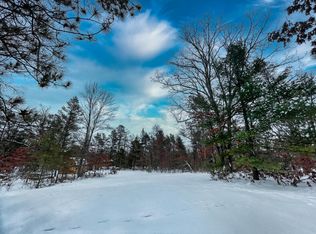 3729 Chase Bridge Rd, Grayling, MI 49738