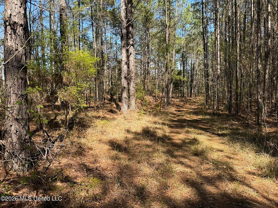 1st image of County Road 4102