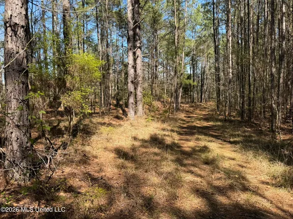 County Road 4102, Goodman, MS 39079
