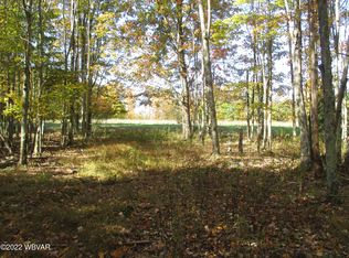 Beaver Lake Rd, Muncy valley, PA 17758