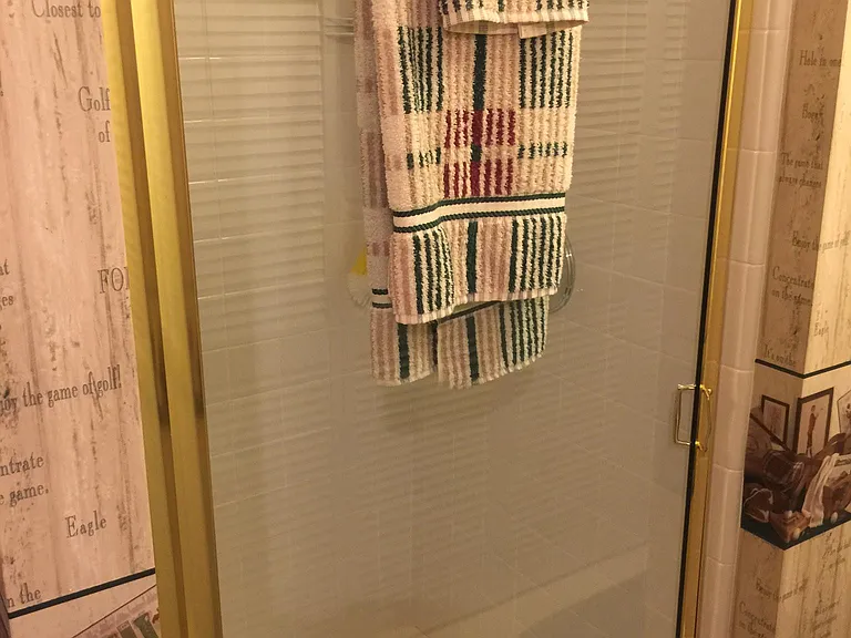 Shower in Lower Level Full Bath - lower entertainment level.