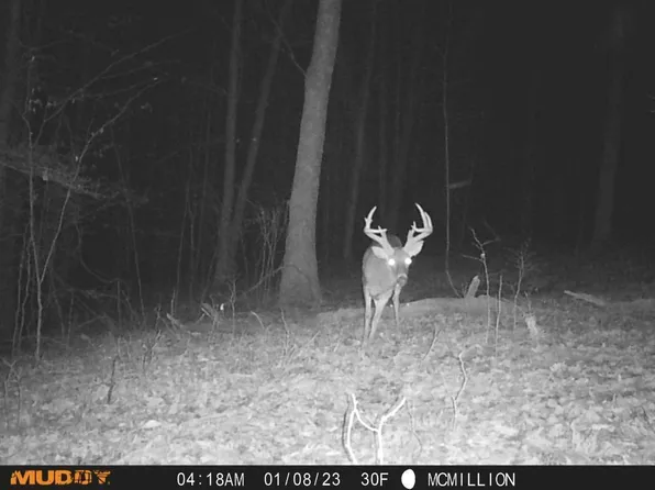 3717 Knoxel Hill Bracken Ridge Rd, Otway, OH 45657