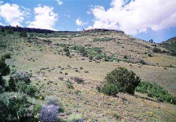 Lower Meadow, Rock Wall view