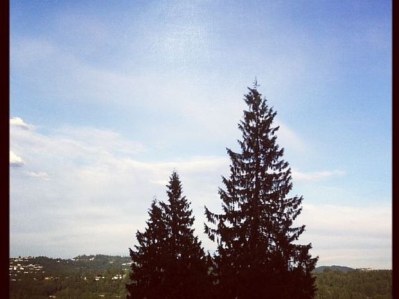 Summer day, boats out