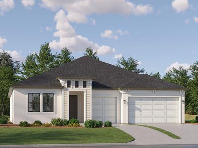 12576 Colonnade Vista Dr, Riverview, FL, 33579