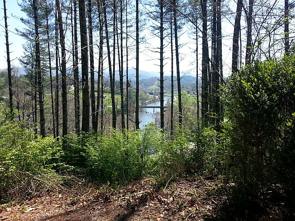 5th image of 67 Riverwood Dr