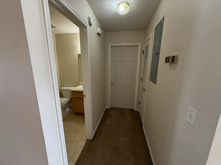 101 Hall St #221 — Photo 8