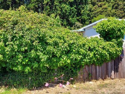 38851 S Hwy 1 Highway, Gualala, CA, 95445