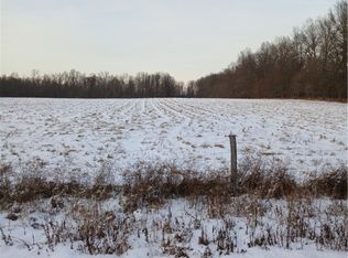 Selkirk Bush Rd, Newton Falls, OH 44444