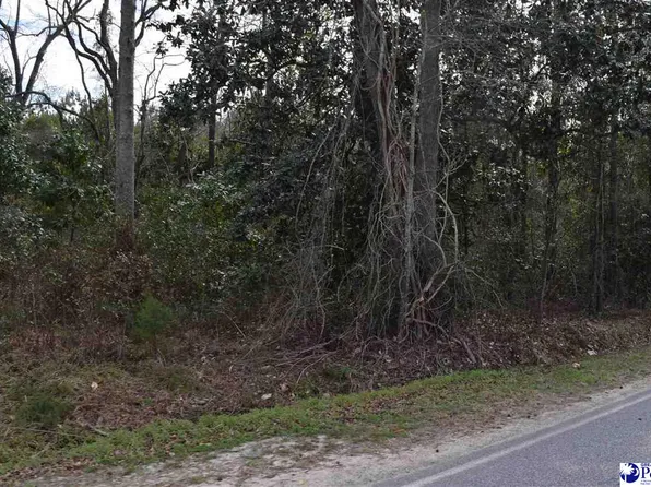 N Price Road & Chinaberry Rd, Florence, SC 29506