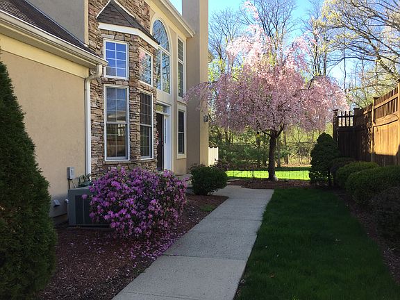 Side Yard