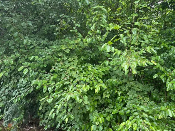 459 E Price St, Philadelphia, PA 19144