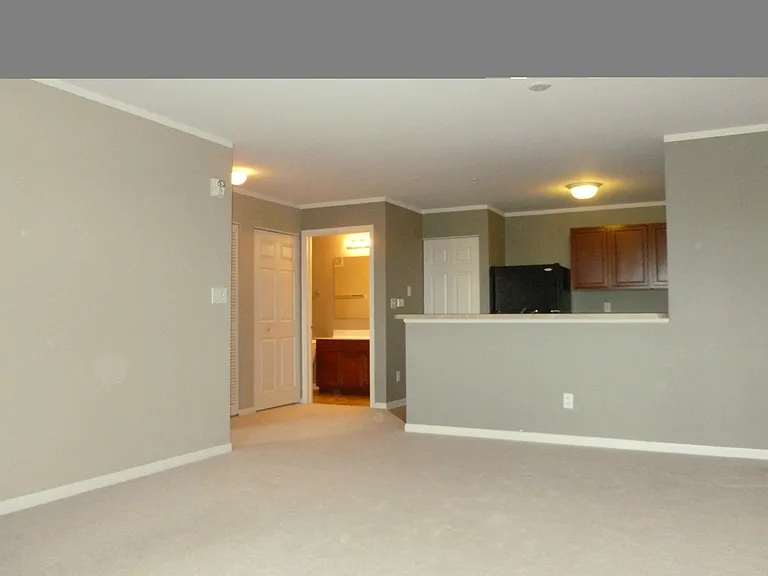 236 Bertram Dr #C — Photo 8