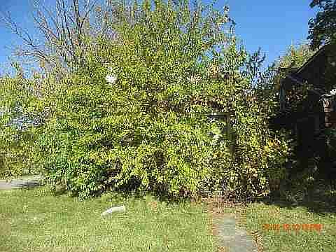 7505 E Robinwood