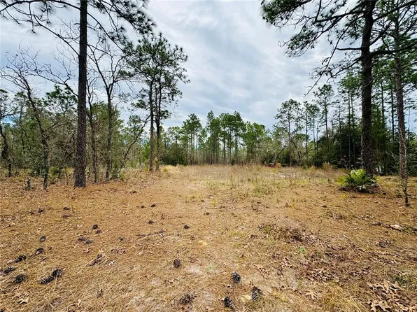 LOT 3 SW 93rd St Lot 3, Dunnellon, FL 34432