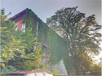 6 Roosevelt Place in Ocean Hill