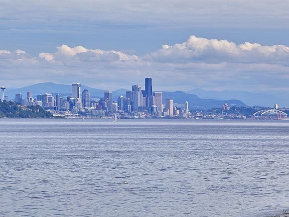 Seattle Skyline. You can walk the beach for miles!