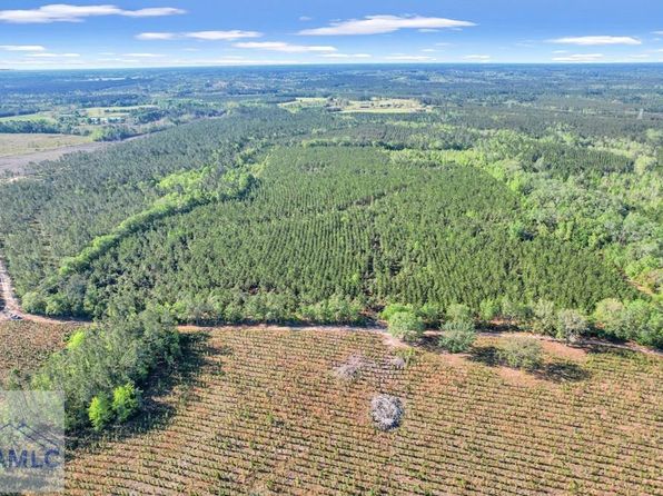 0 Mildred Bush Rd, Surrency, GA 31563