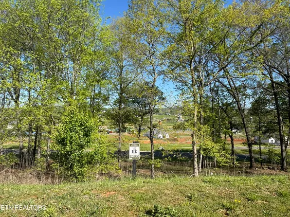 1097 Black Cove Ln, Loudon, TN 37774