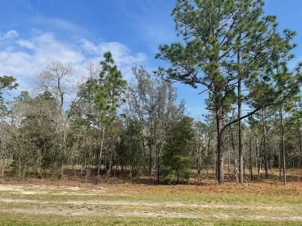 SW 67th Ln Lot 3, Ocala, FL 34481