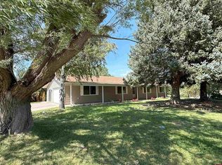 17085 Pioneer Rd, Montrose, CO 81403