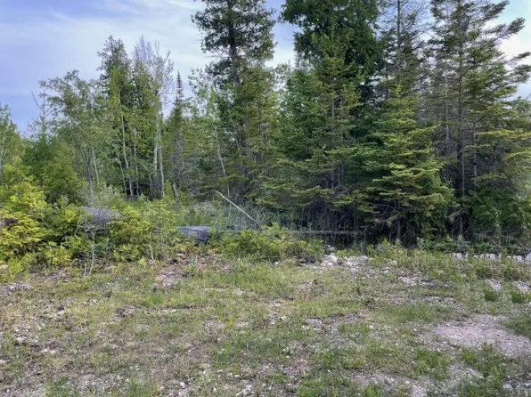 26776 E Yorty Point Rd, Drummond Island, MI 49726