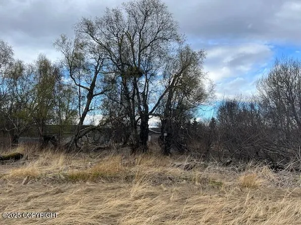 780 W Montana Dr, Palmer, AK 99645