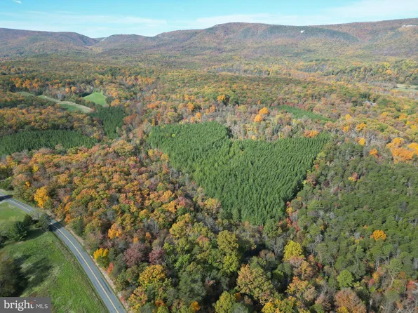 N Pifer Rd, Star Tannery, VA 22654