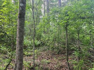 0 Broxton Bridge Rd, Bamberg, SC 29003