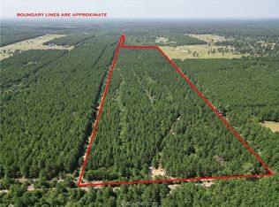 County Road 302, Plantersville, TX 77363