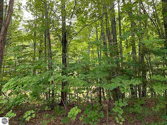 3rd image of 4945 Whitetail Dr SE