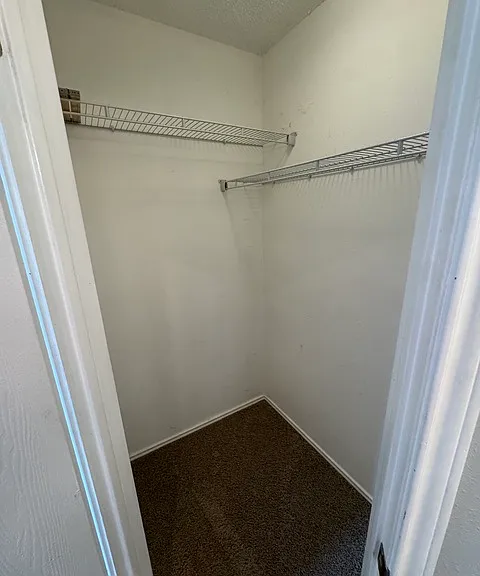 13815 Stone Hollow Dr — Photo 20