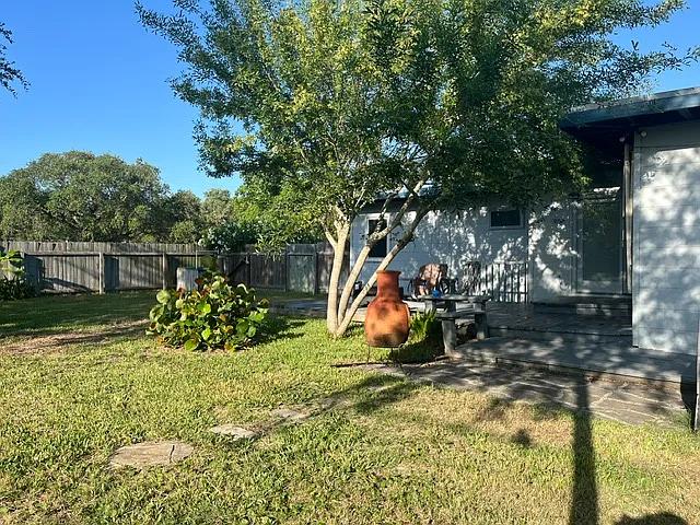 Back yard