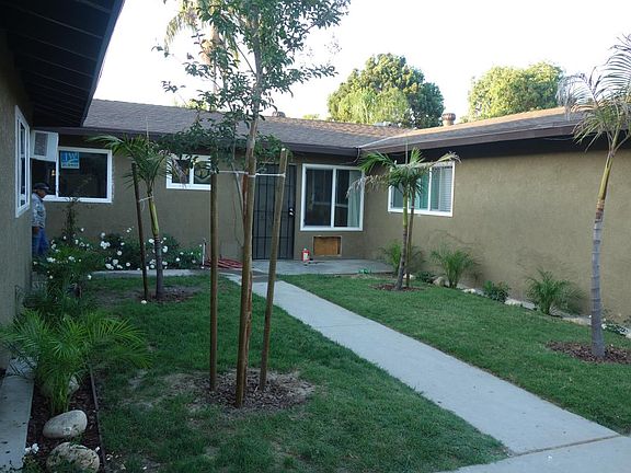 Shared Courtyard with Palm Trees