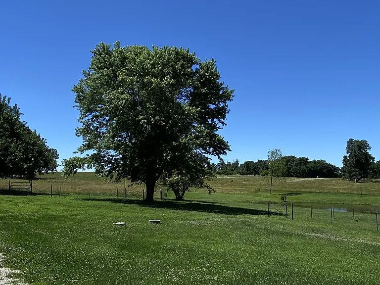 20698 Wilkes Creek Rd — Photo 31