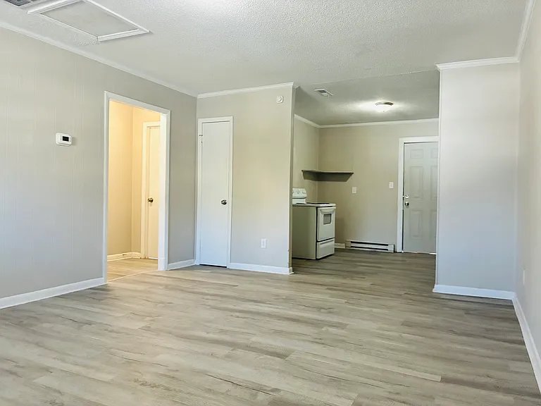 409 Morton St #D — Photo 5