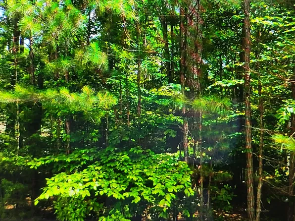 419 JASMINE LANE, McCormick, SC 29835